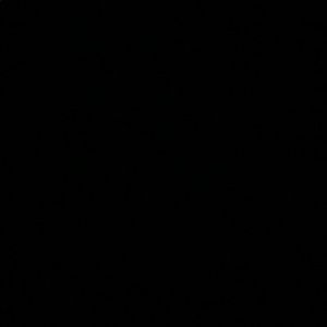 Meet your Posher, Lillian